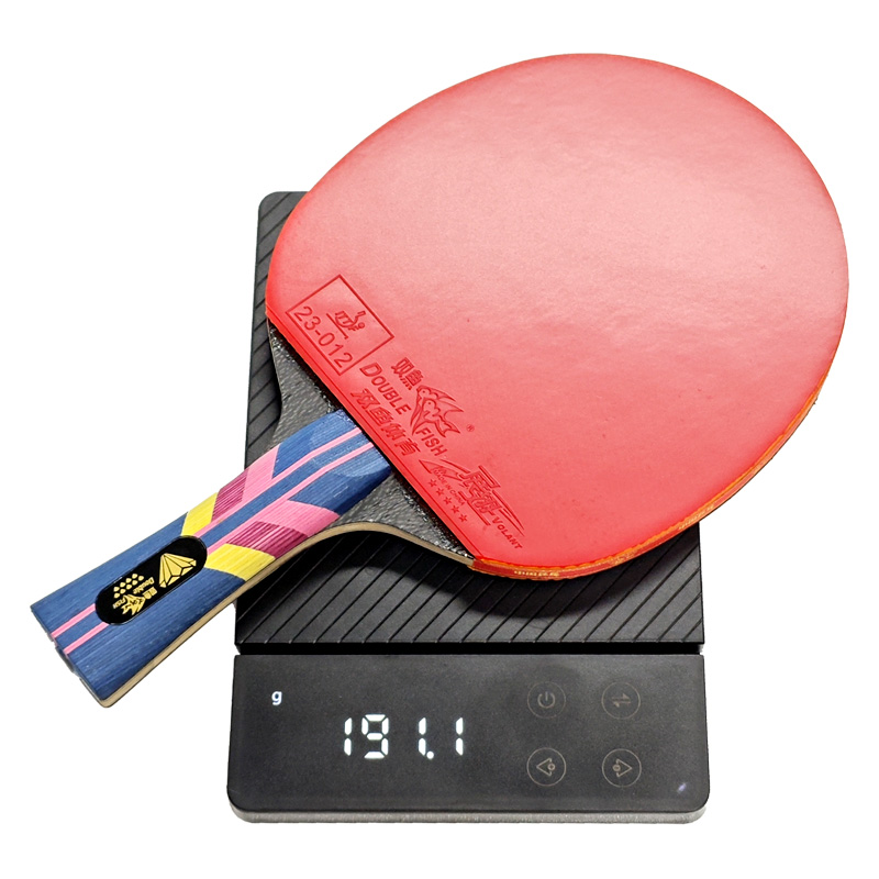 DOUBLE FISH Tischtennisschläge – Table Tennis Eleven Bewertung und Preis