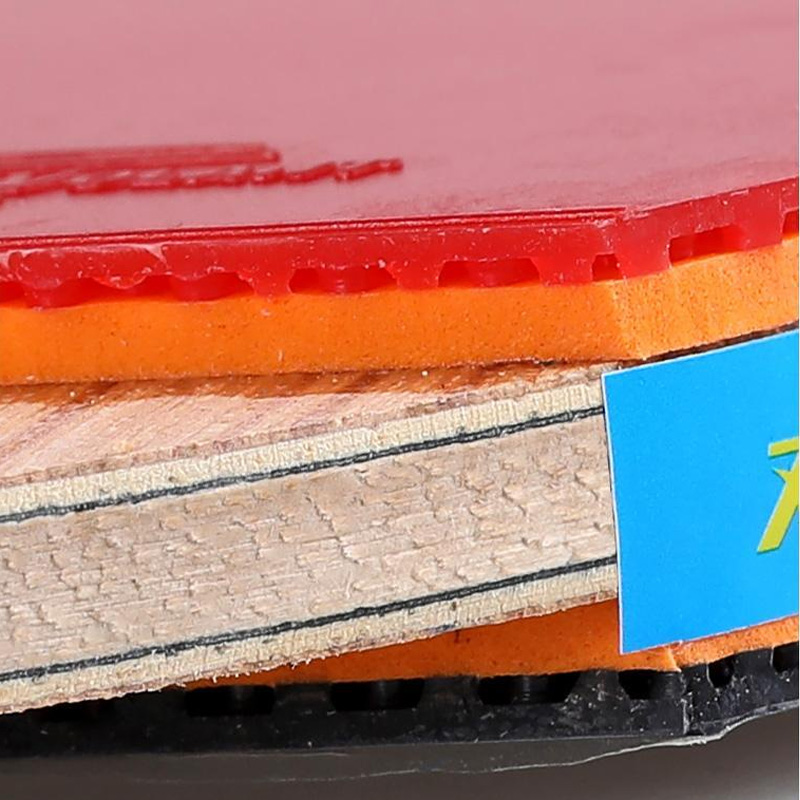 Doppel fisch 5/6 Sterne Tischt – Table Tennis Eleven Bewertung und Preis