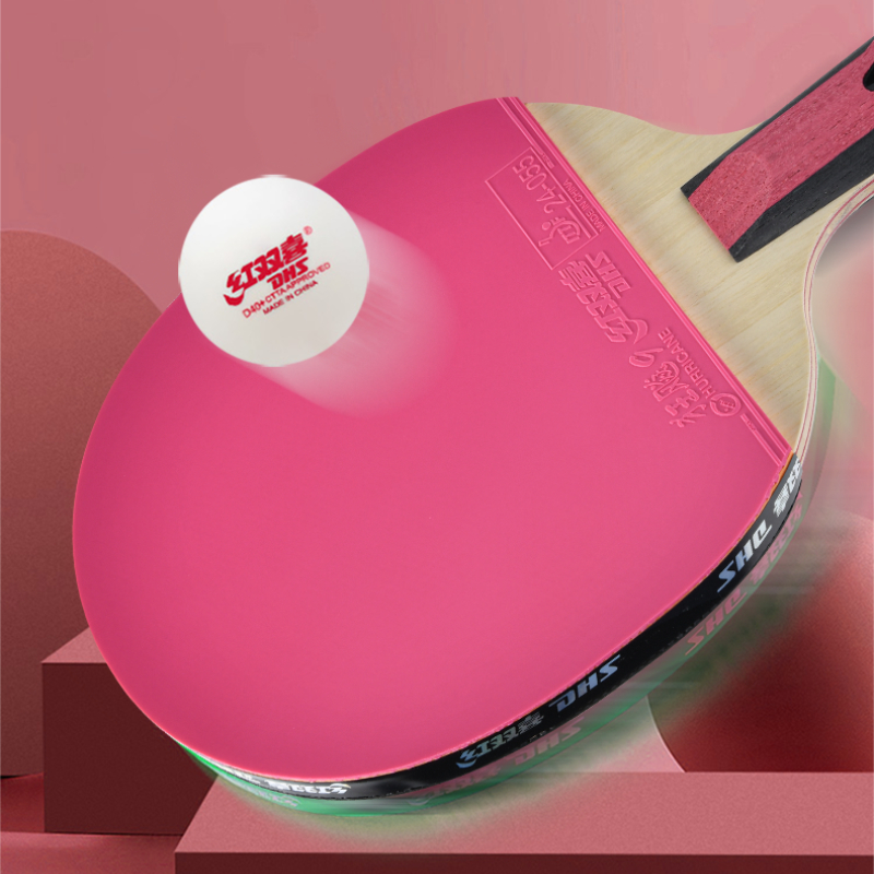 DHS 6-Sterne-Tischtennisschläg – Table Tennis World Bewertung und Preis