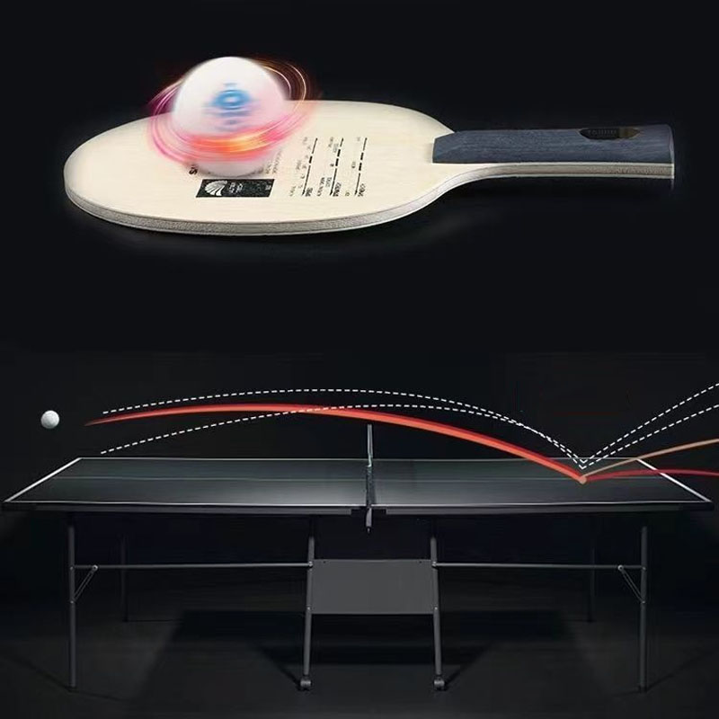 Original Sanwei T5000 Tischten – Table Tennis Eleven Bewertung und Preis